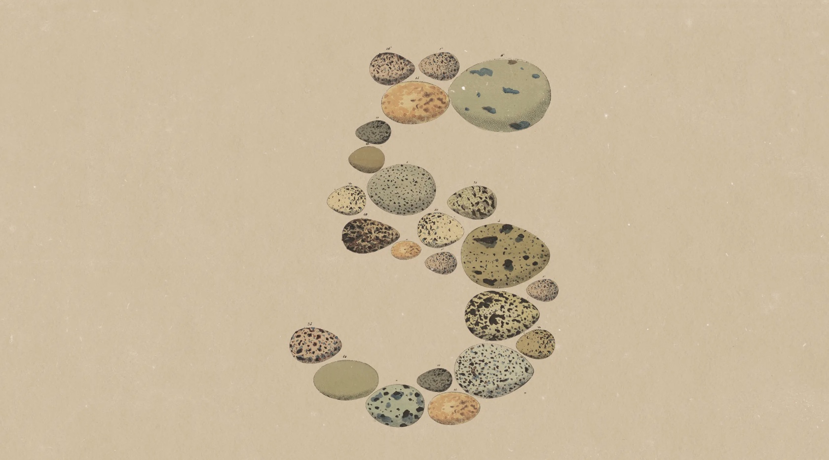 Anthropic Releases Claude Opus 5: Near Fable 5 Intelligence at Half the Price