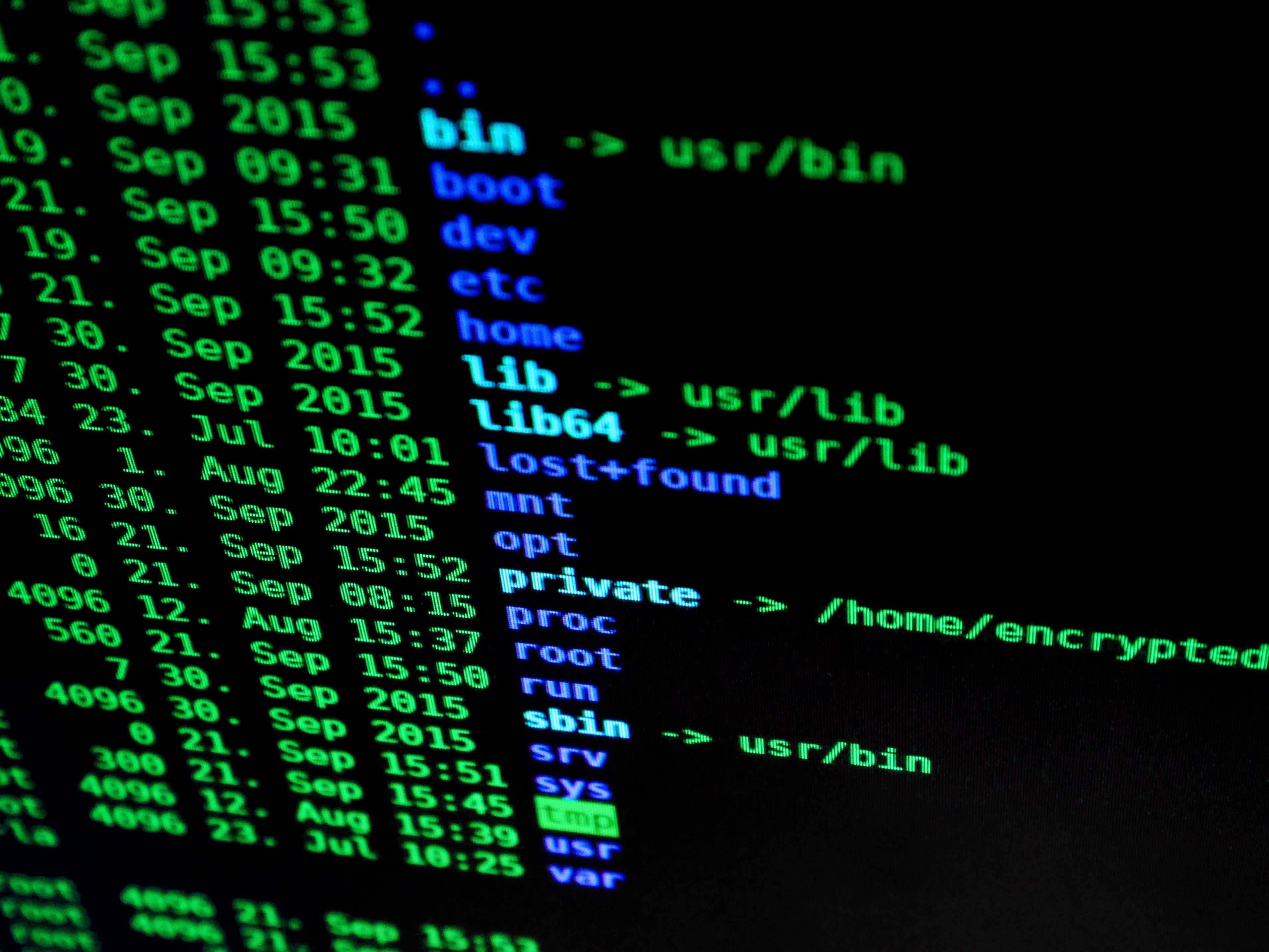 HalluSquatting Attack Turns AI Hallucinations Into Coding-Agent Botnets