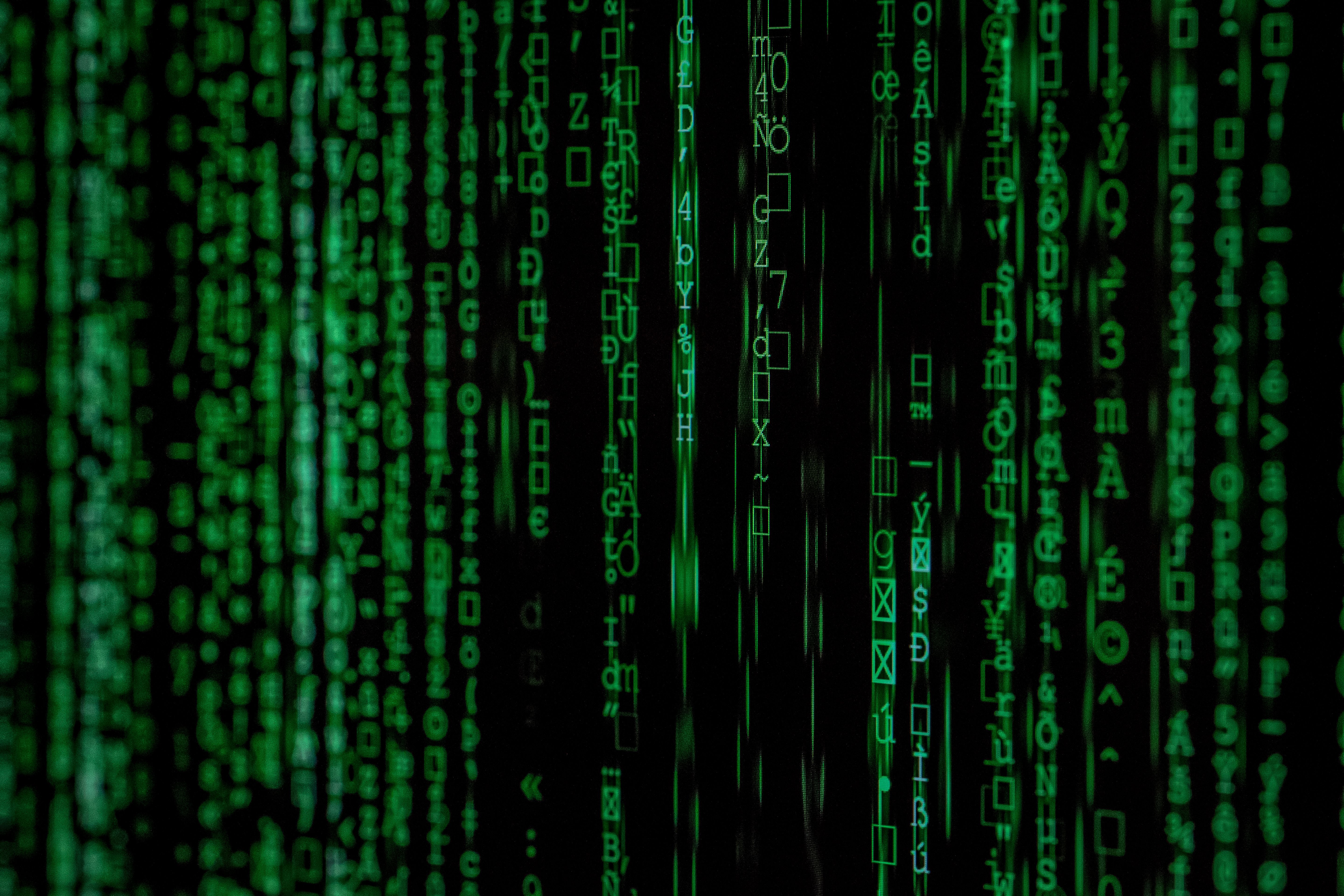 RIFFSEC jedynym polskim startupem w cyberbezpieczeństwie wybranym przez Google